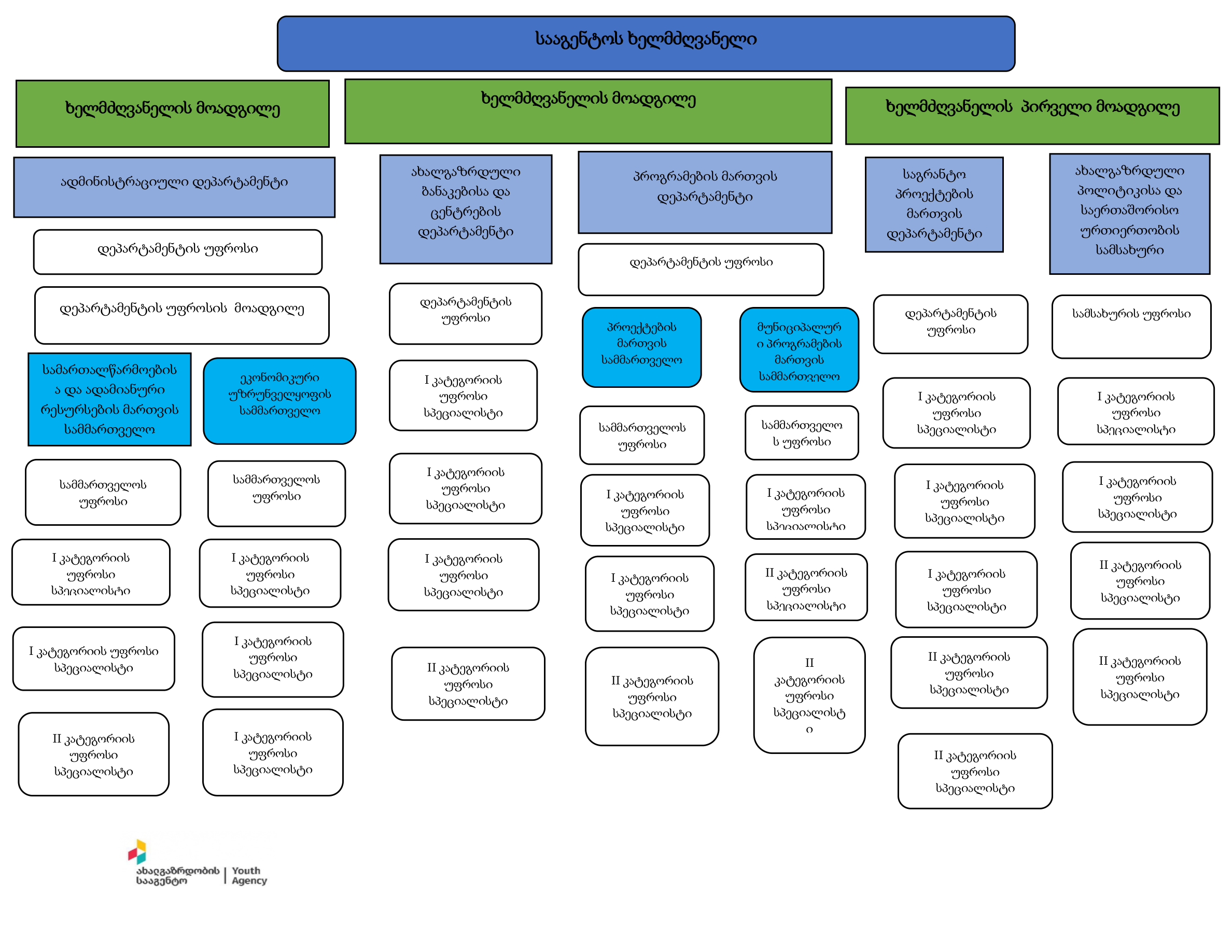 სსიპ ახალგაზრდობის სააგენტოს ორგანიზაციული სტრუქტურა