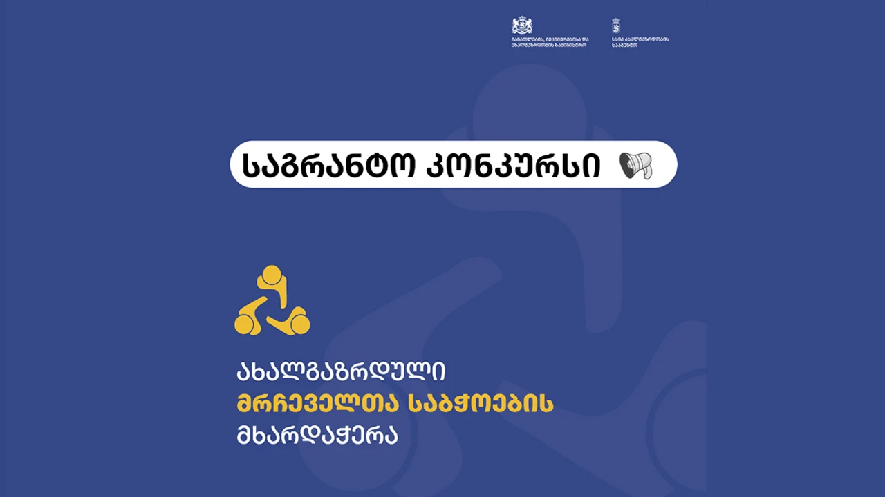 ახალგაზრდული მრჩეველთა საბჭოების მხარდაჭერა