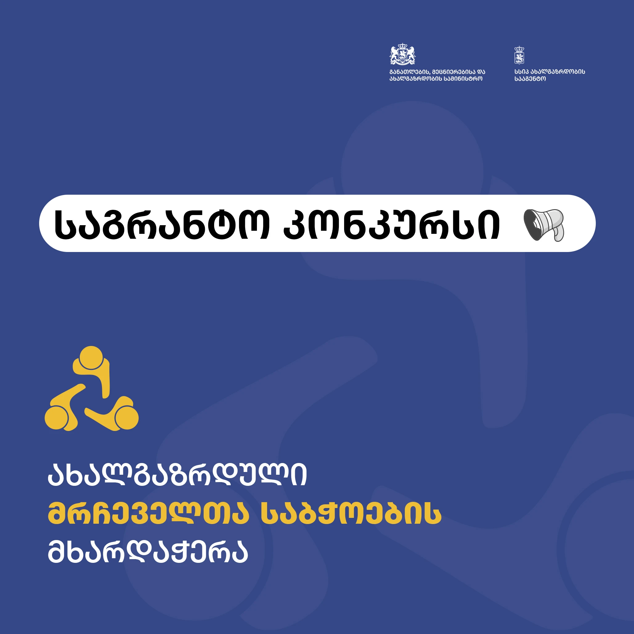 ახალგაზრდული მრჩეველთა საბჭოების მხარდაჭერა